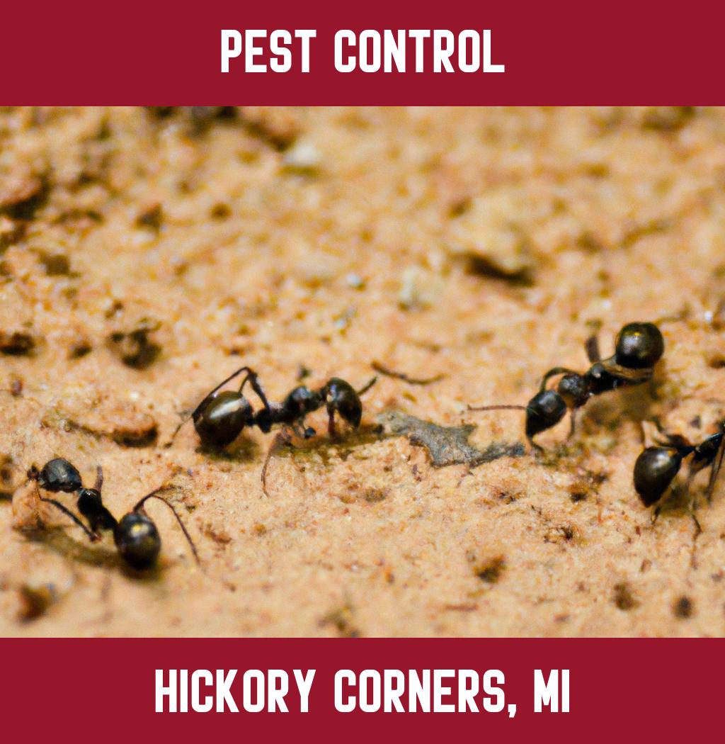 pest control in Hickory Corners Michigan