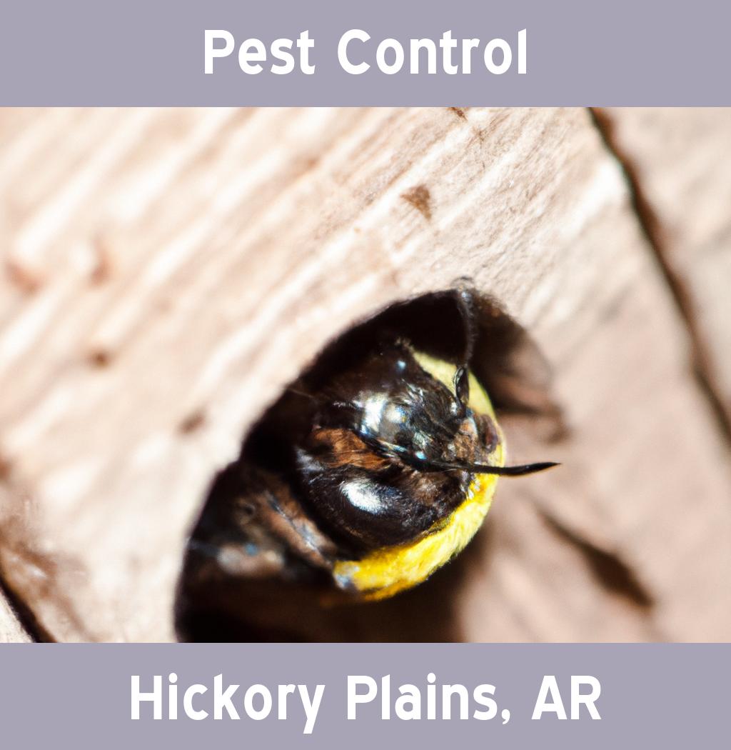 pest control in Hickory Plains Arkansas