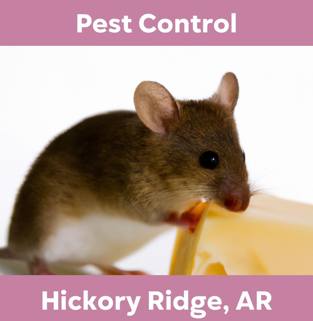 pest control in Hickory Ridge Arkansas
