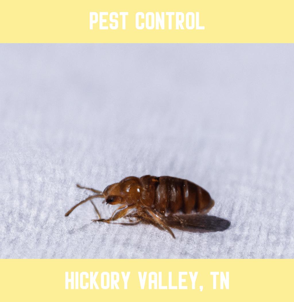 pest control in Hickory Valley Tennessee