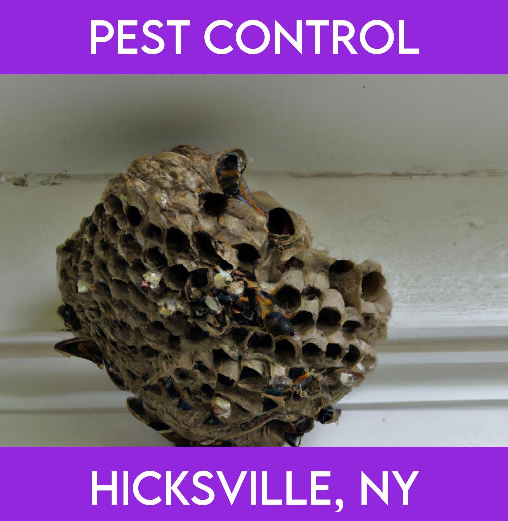pest control in Hicksville New York