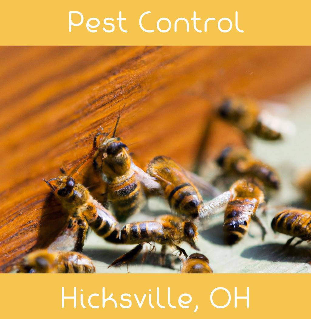 pest control in Hicksville Ohio