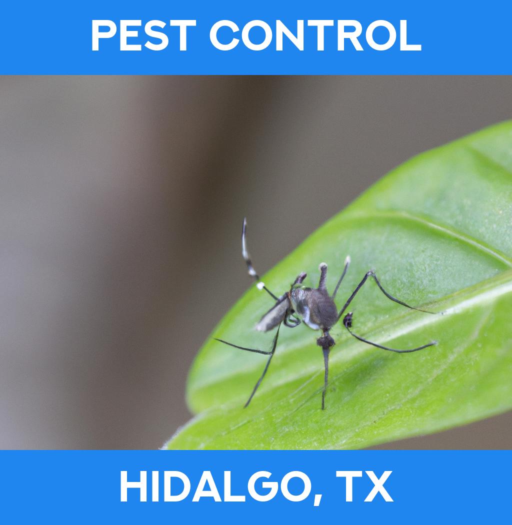pest control in Hidalgo Texas