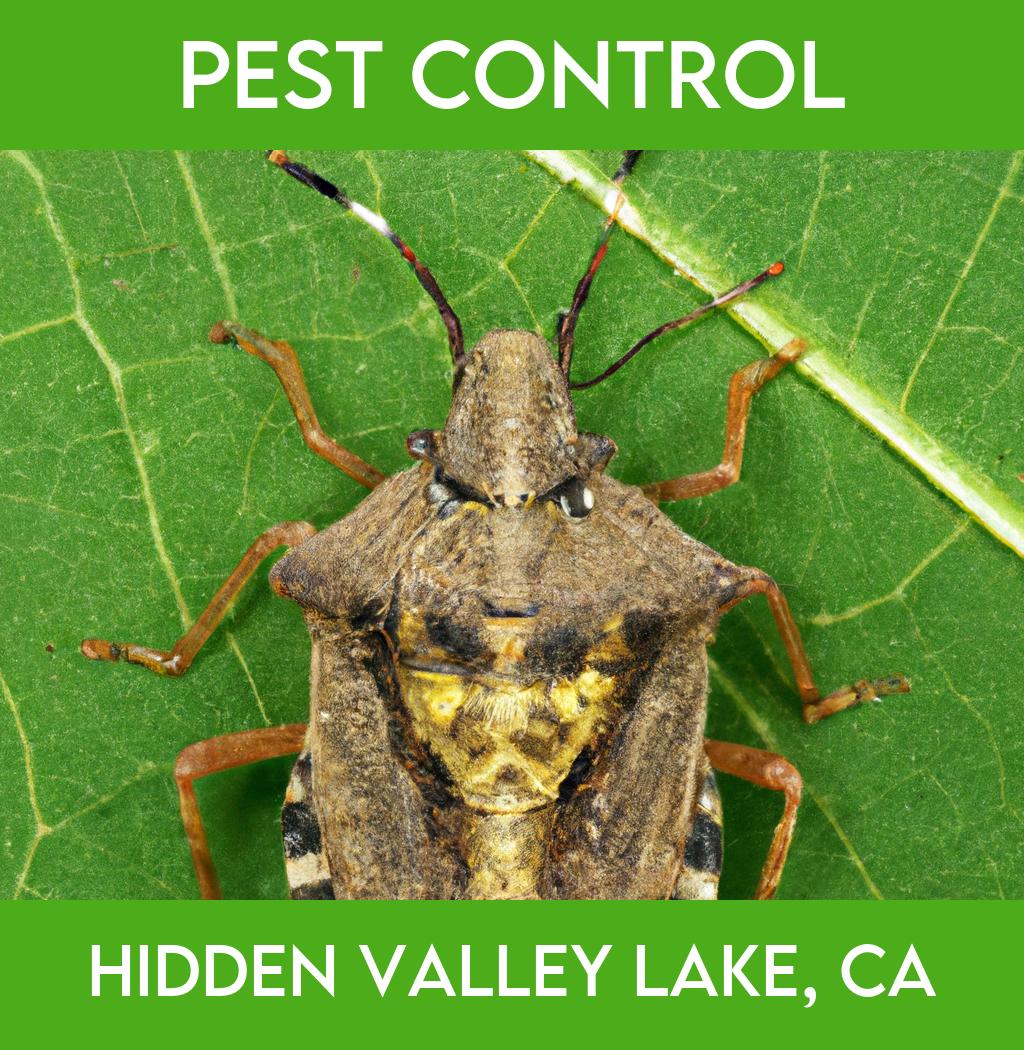 pest control in Hidden Valley Lake California