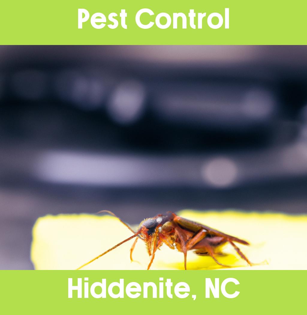 pest control in Hiddenite North Carolina