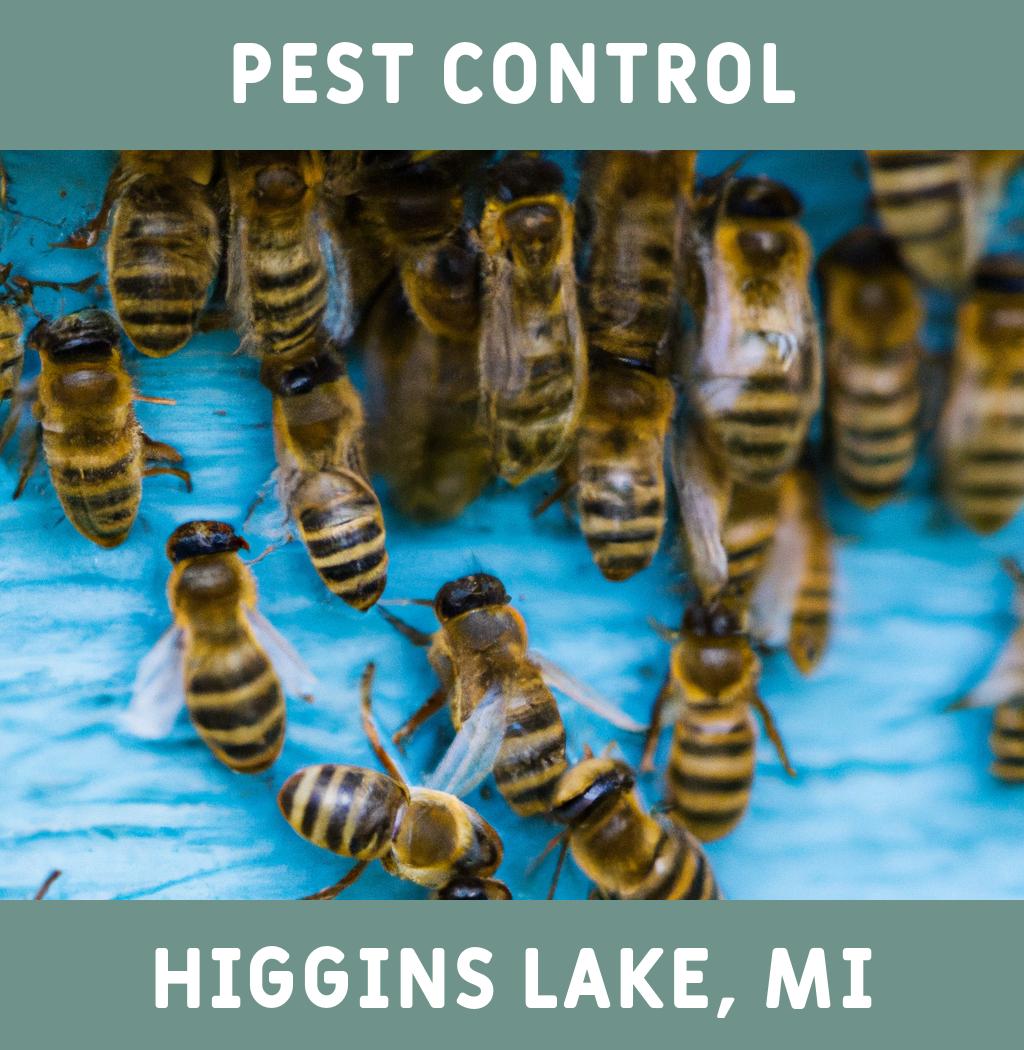 pest control in Higgins Lake Michigan