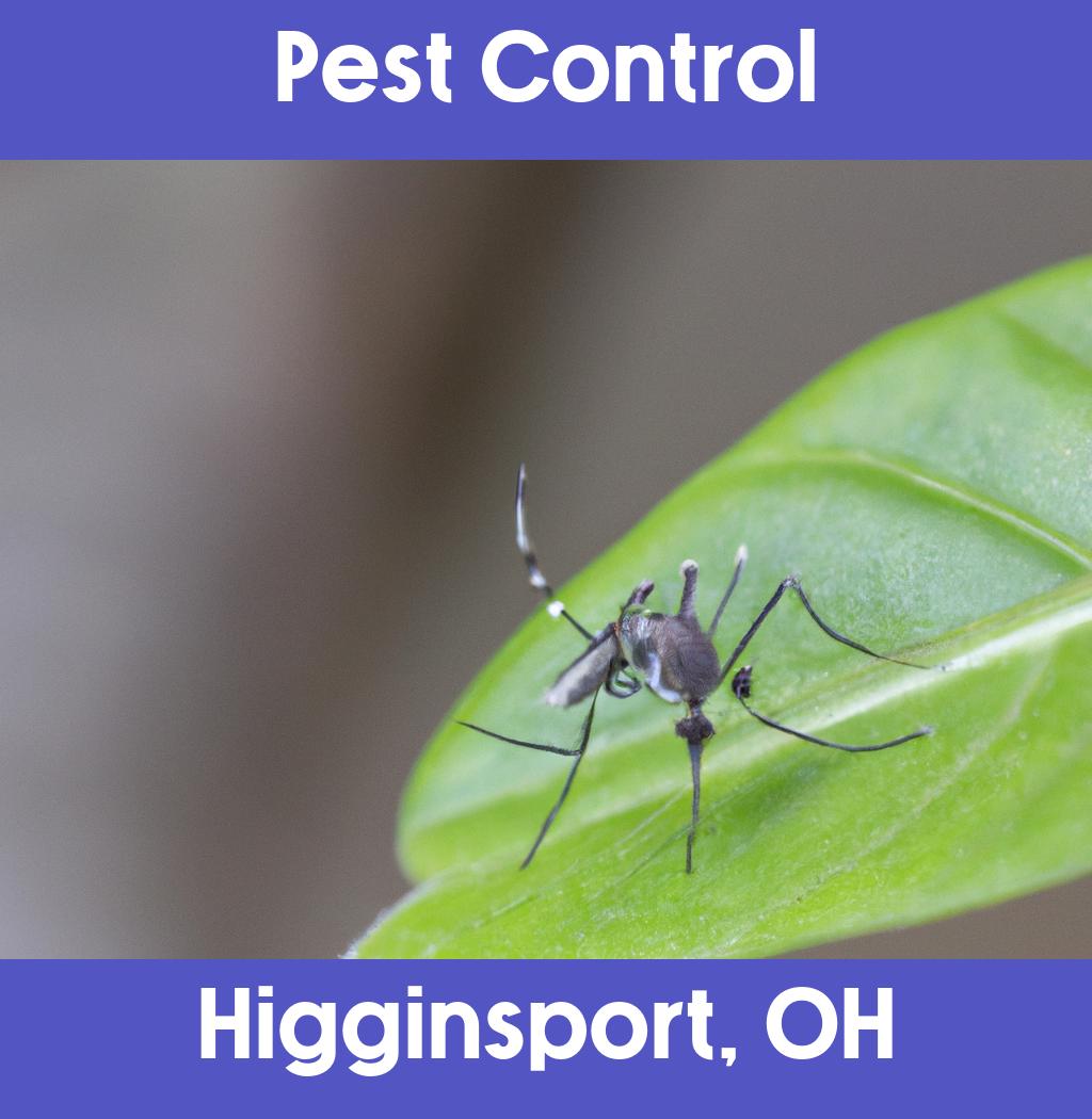 pest control in Higginsport Ohio