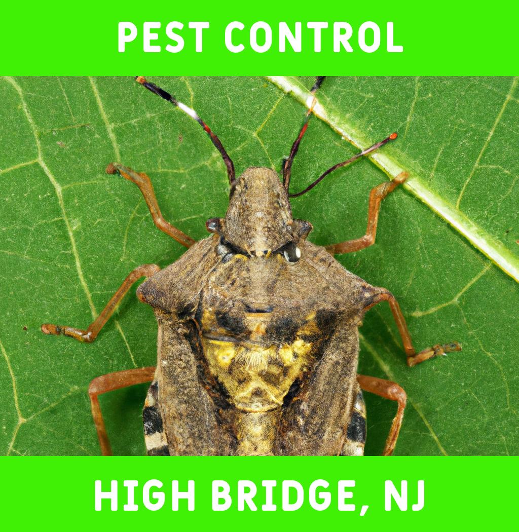 pest control in High Bridge New Jersey