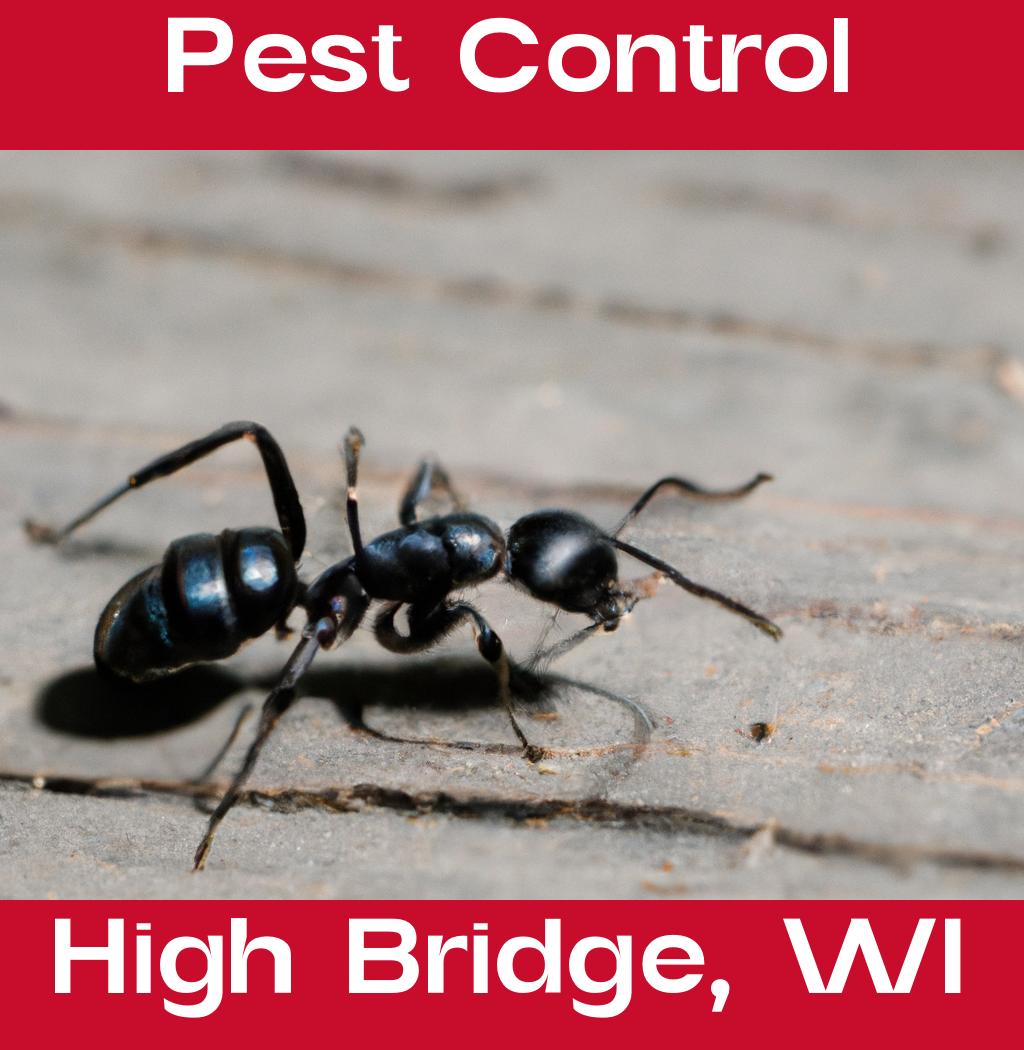 pest control in High Bridge Wisconsin