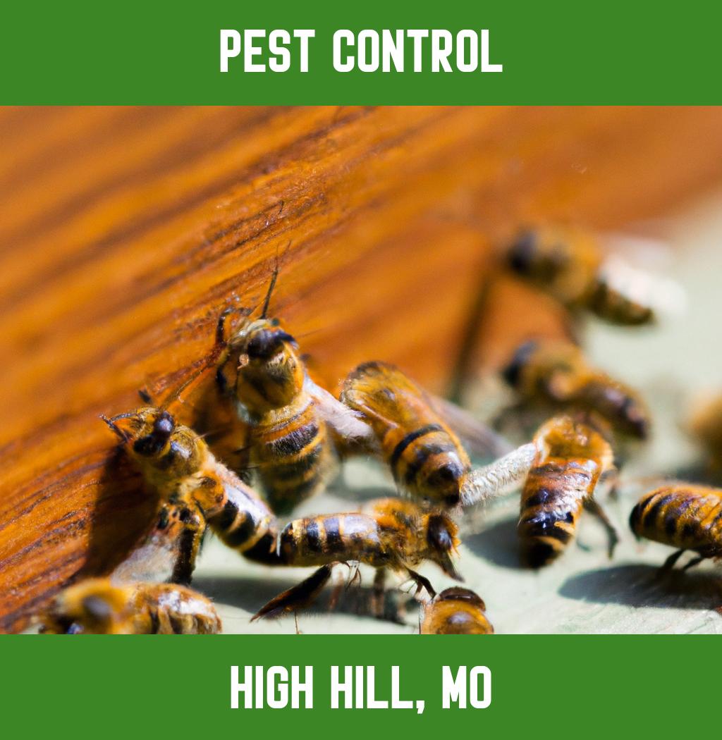 pest control in High Hill Missouri