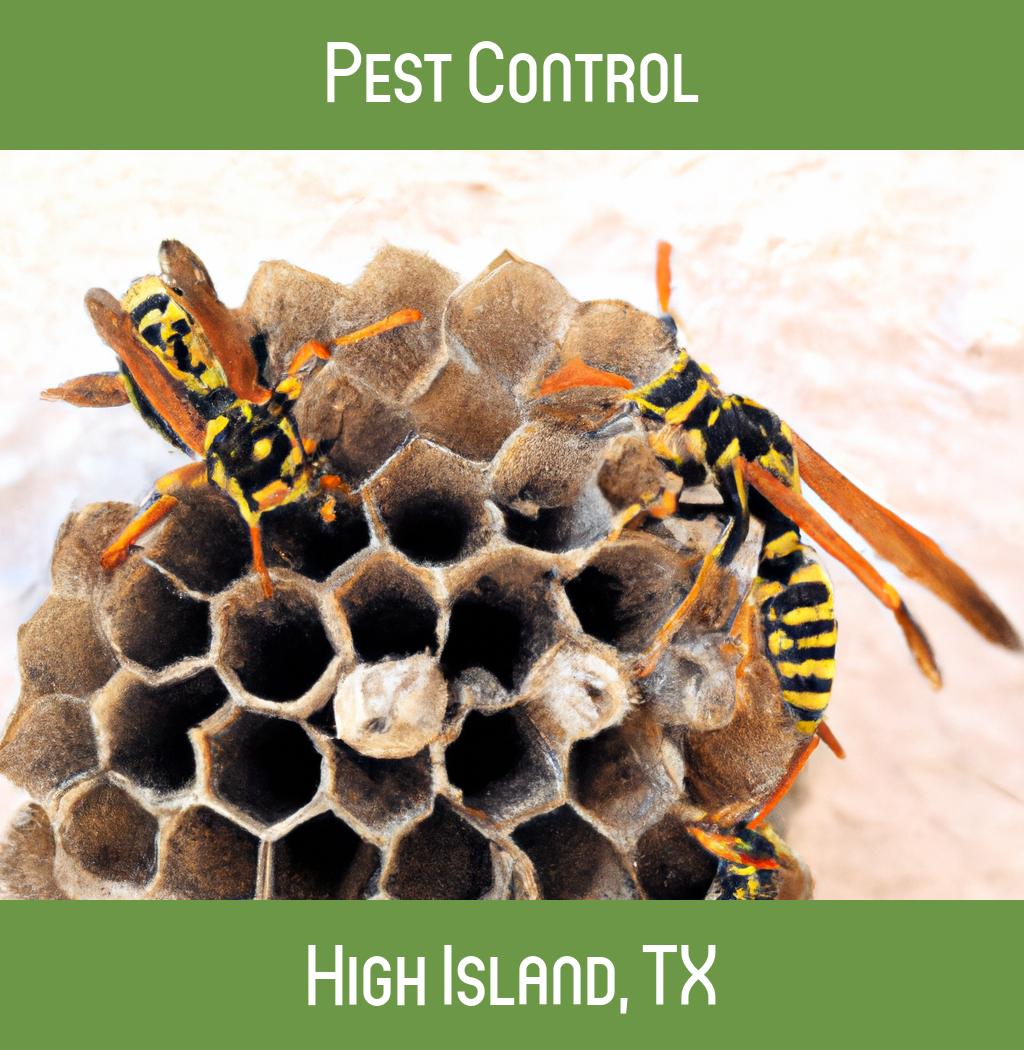 pest control in High Island Texas