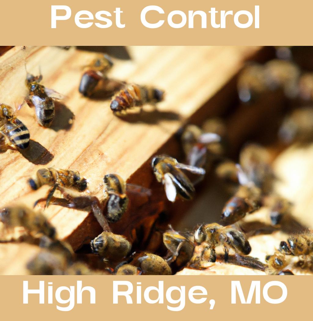 pest control in High Ridge Missouri