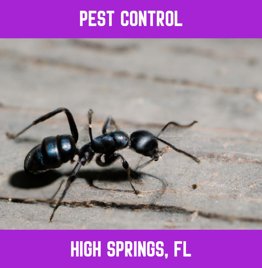 pest control in High Springs Florida
