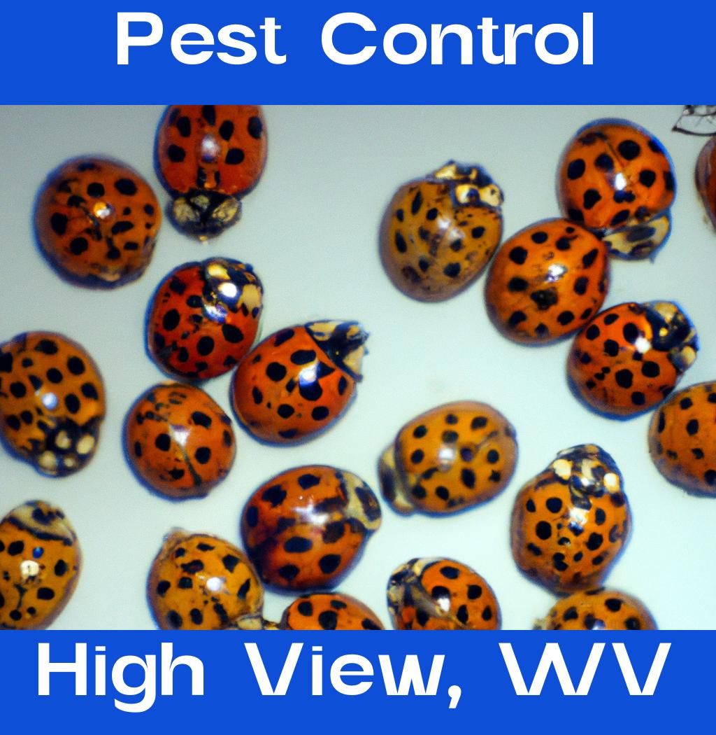 pest control in High View West Virginia