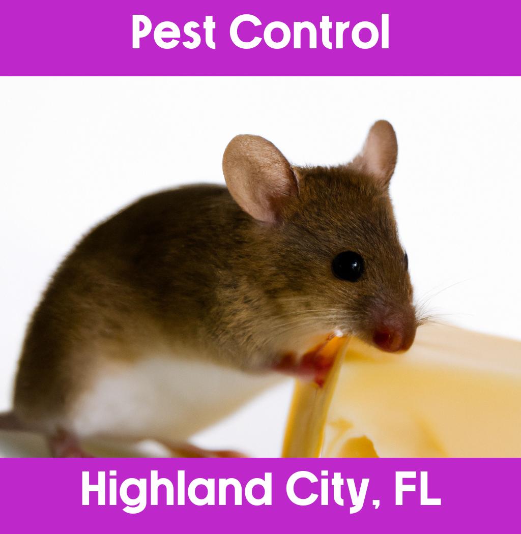 pest control in Highland City Florida