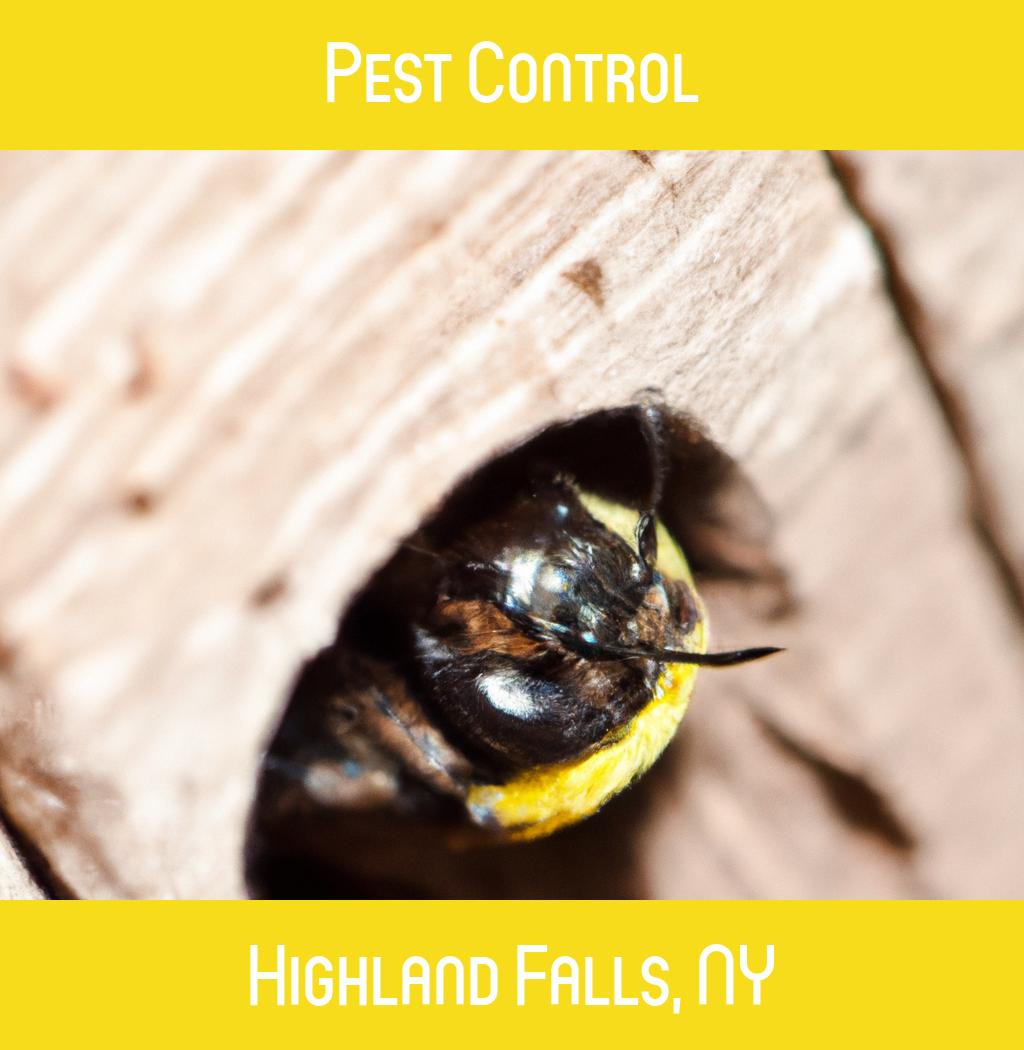 pest control in Highland Falls New York
