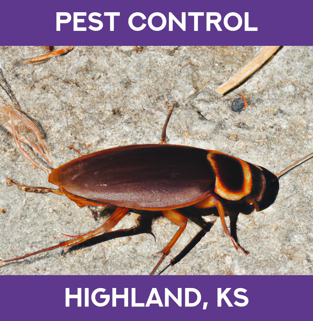 pest control in Highland Kansas