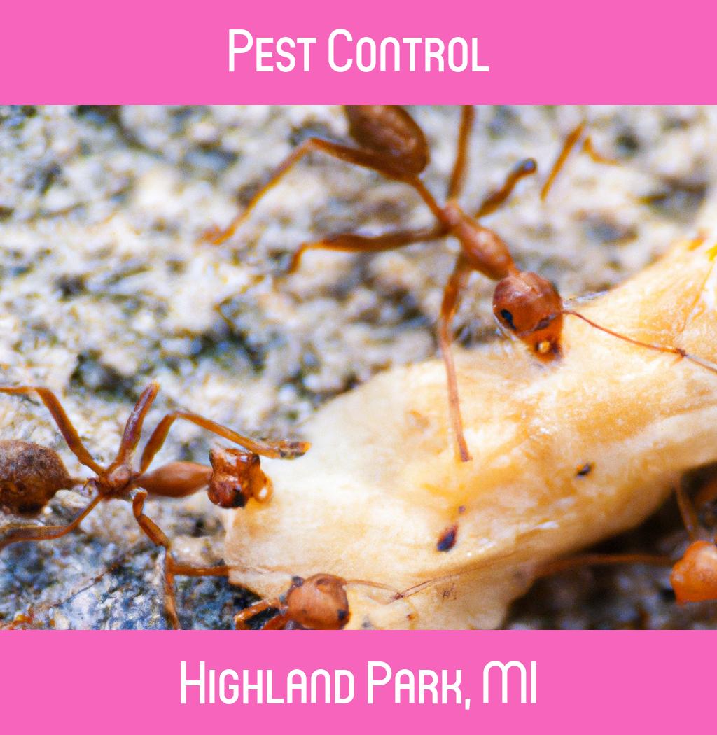 pest control in Highland Park Michigan