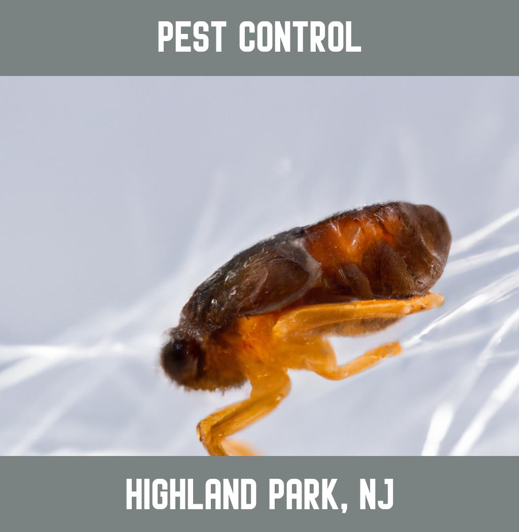 pest control in Highland Park New Jersey