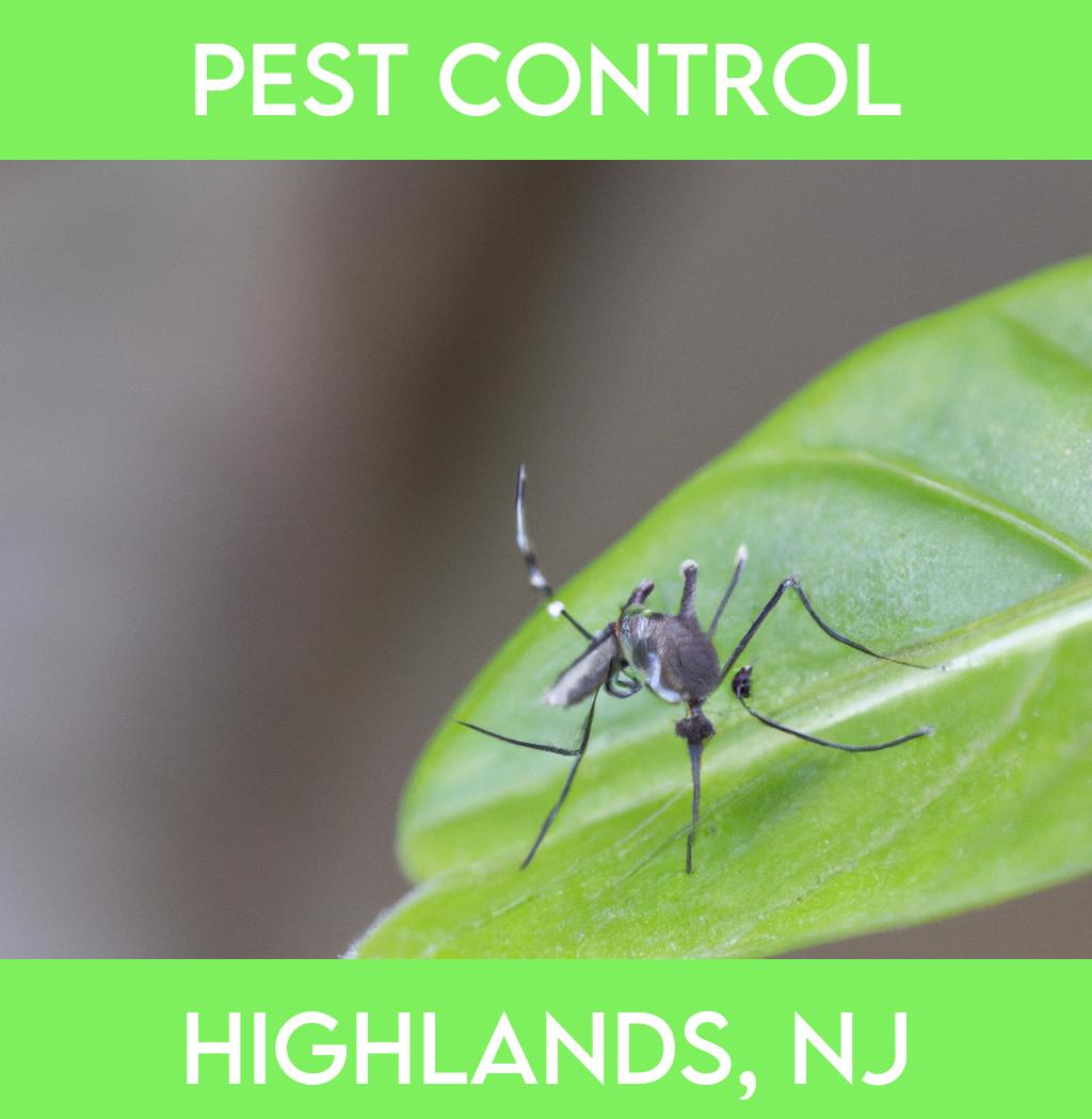 pest control in Highlands New Jersey