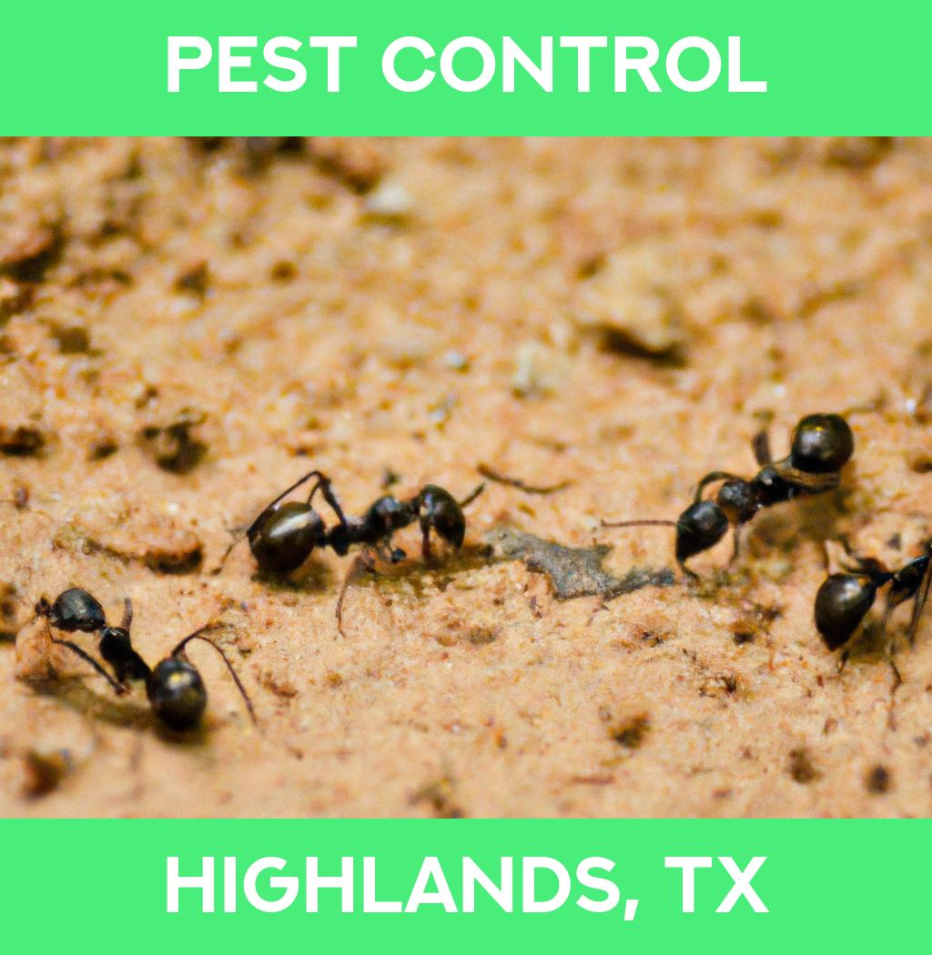 pest control in Highlands Texas