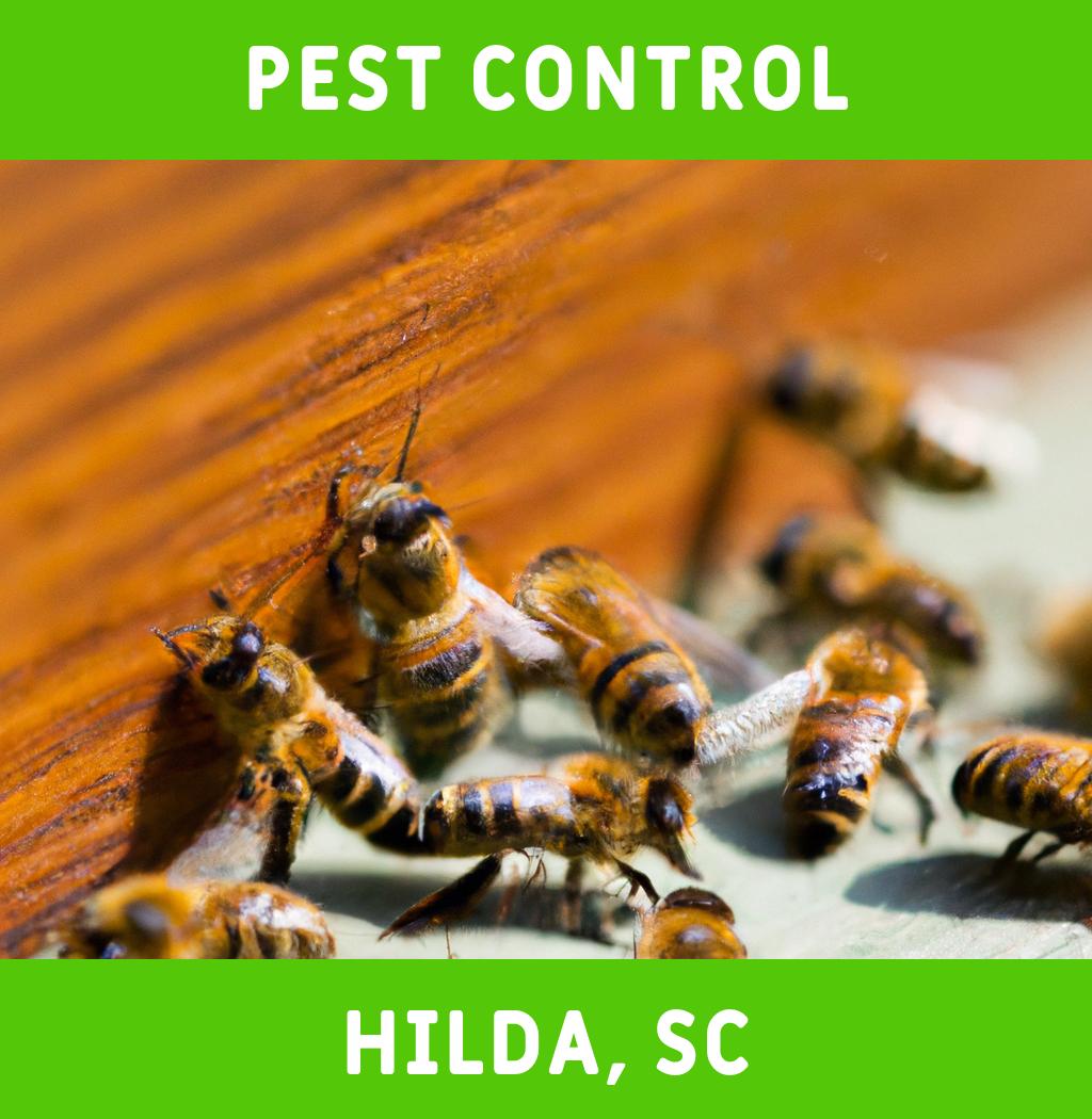 pest control in Hilda South Carolina