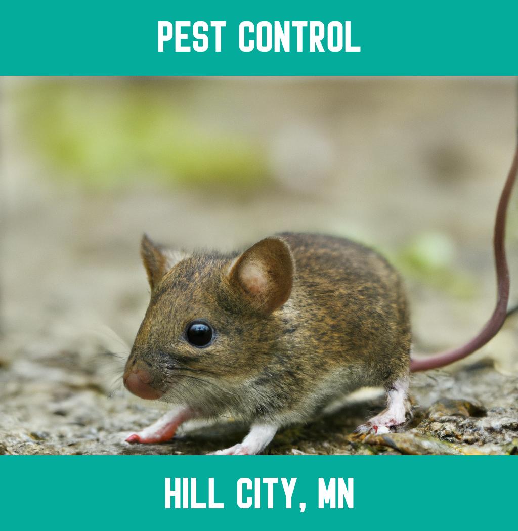 pest control in Hill City Minnesota