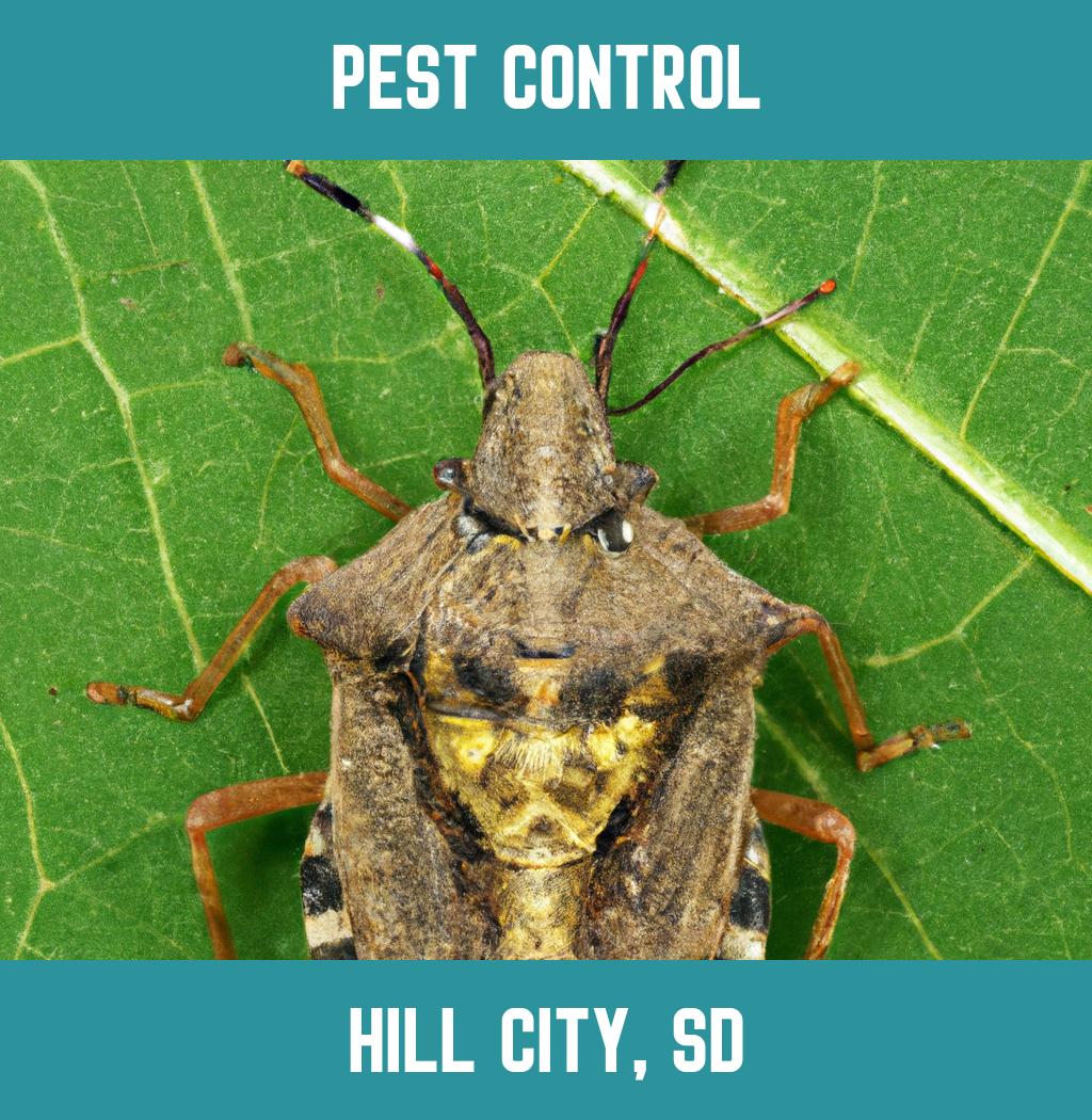 pest control in Hill City South Dakota