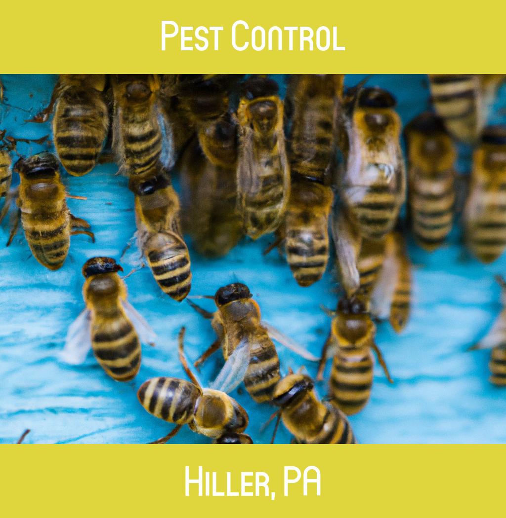 pest control in Hiller Pennsylvania