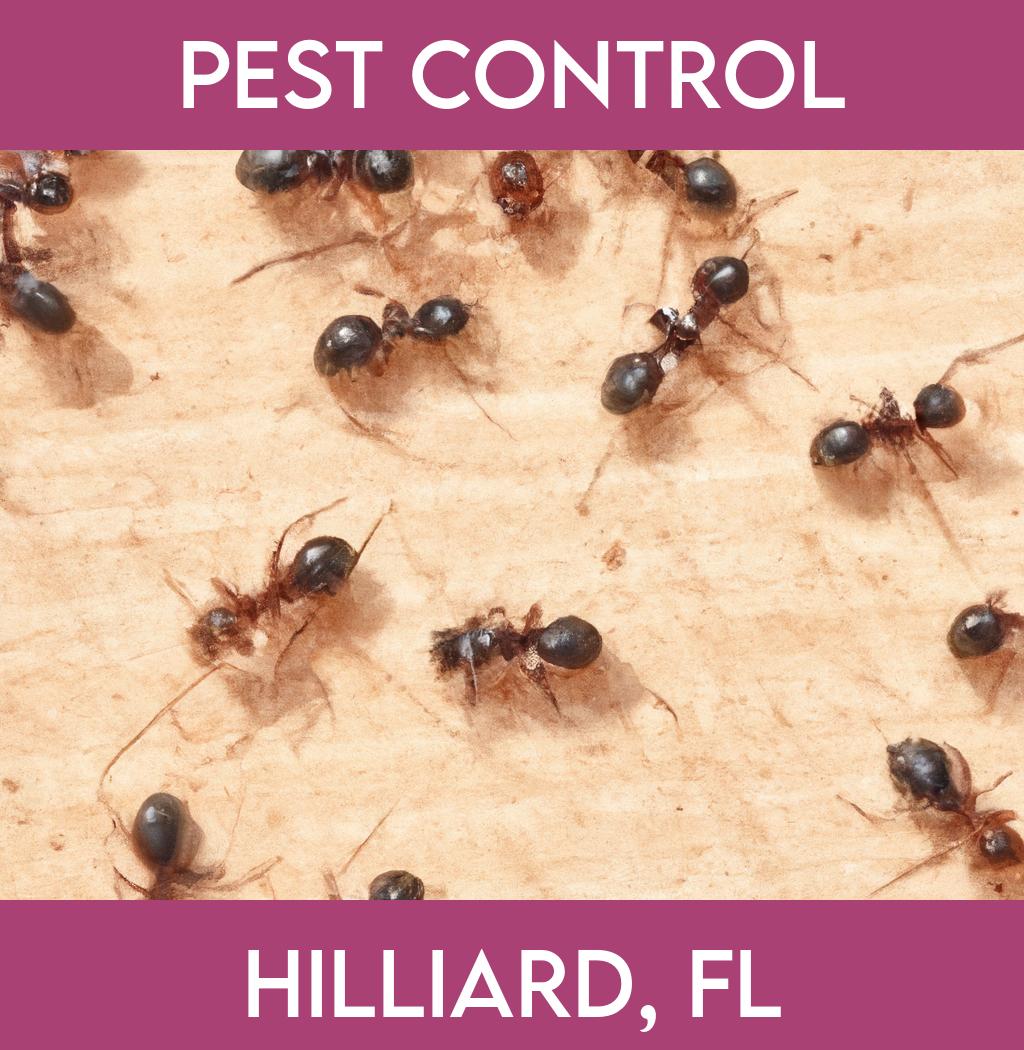 pest control in Hilliard Florida