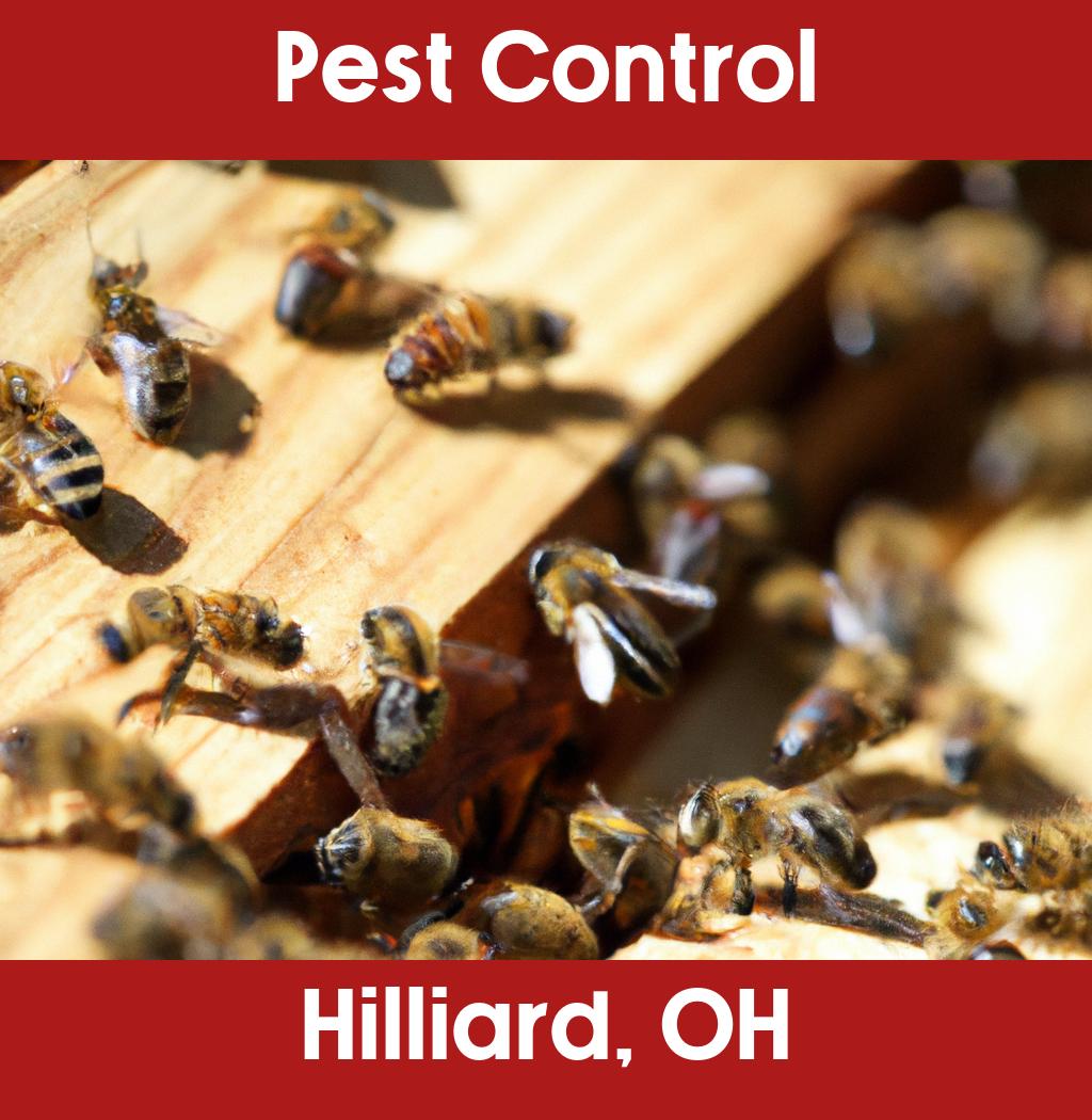 pest control in Hilliard Ohio