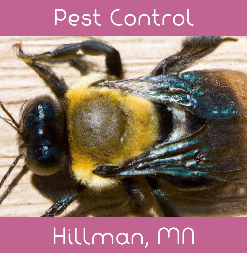 pest control in Hillman Minnesota