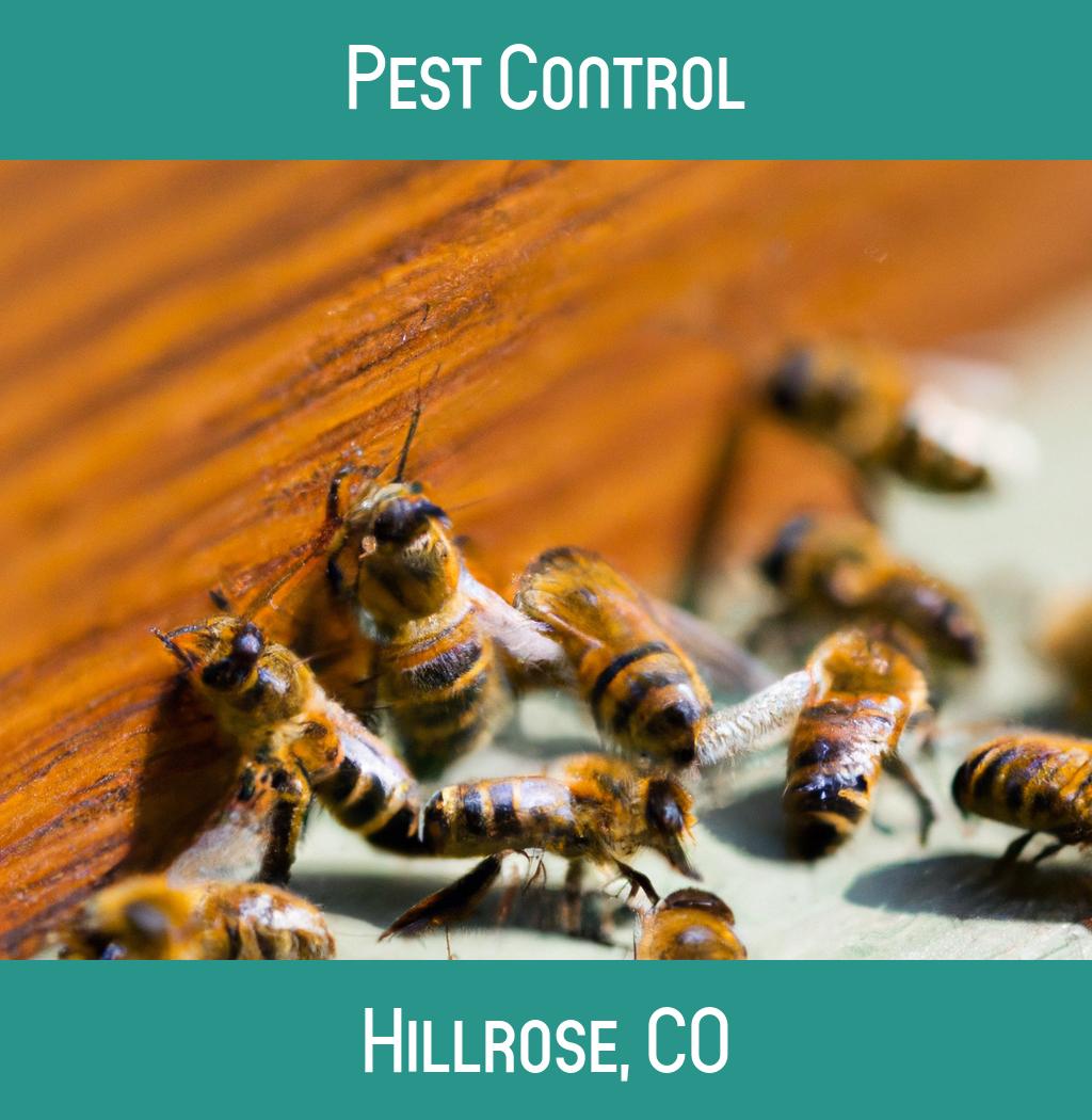 pest control in Hillrose Colorado