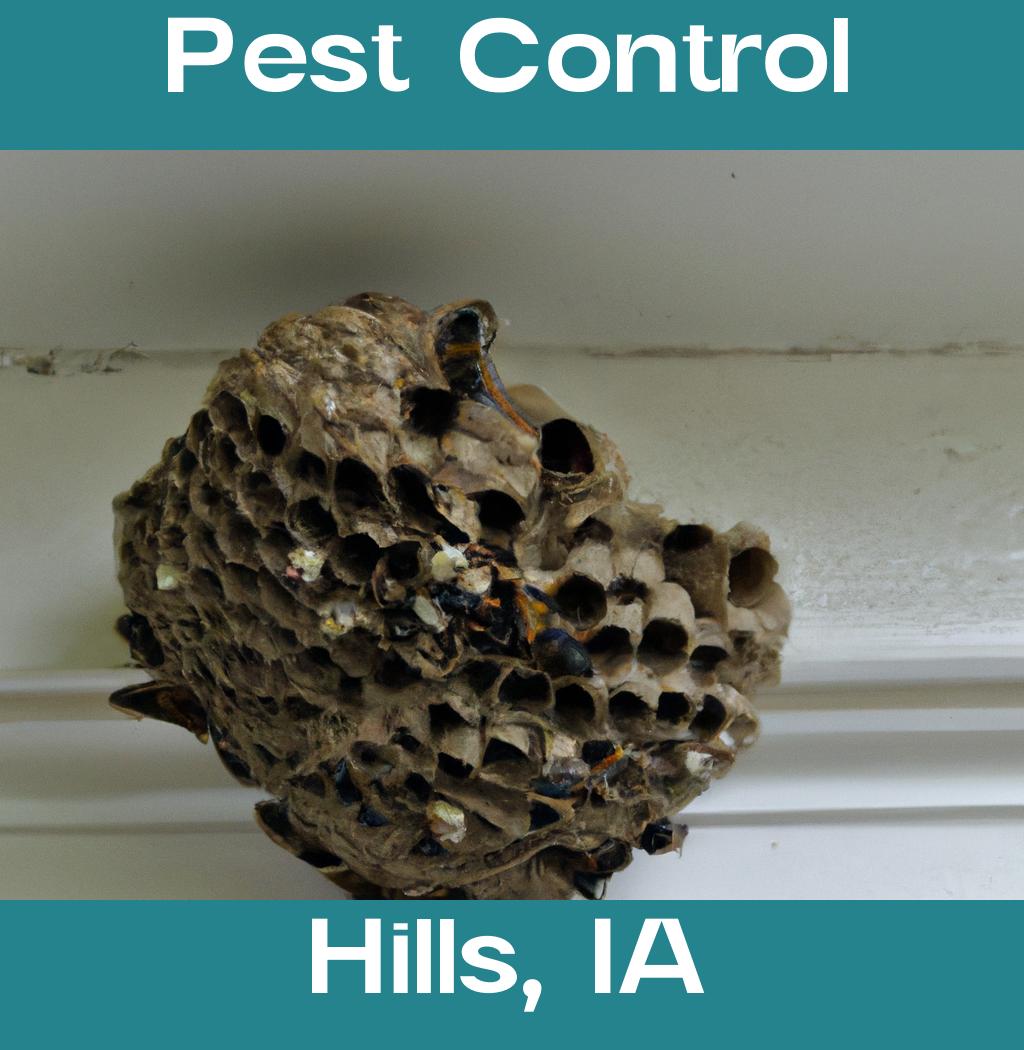 pest control in Hills Iowa