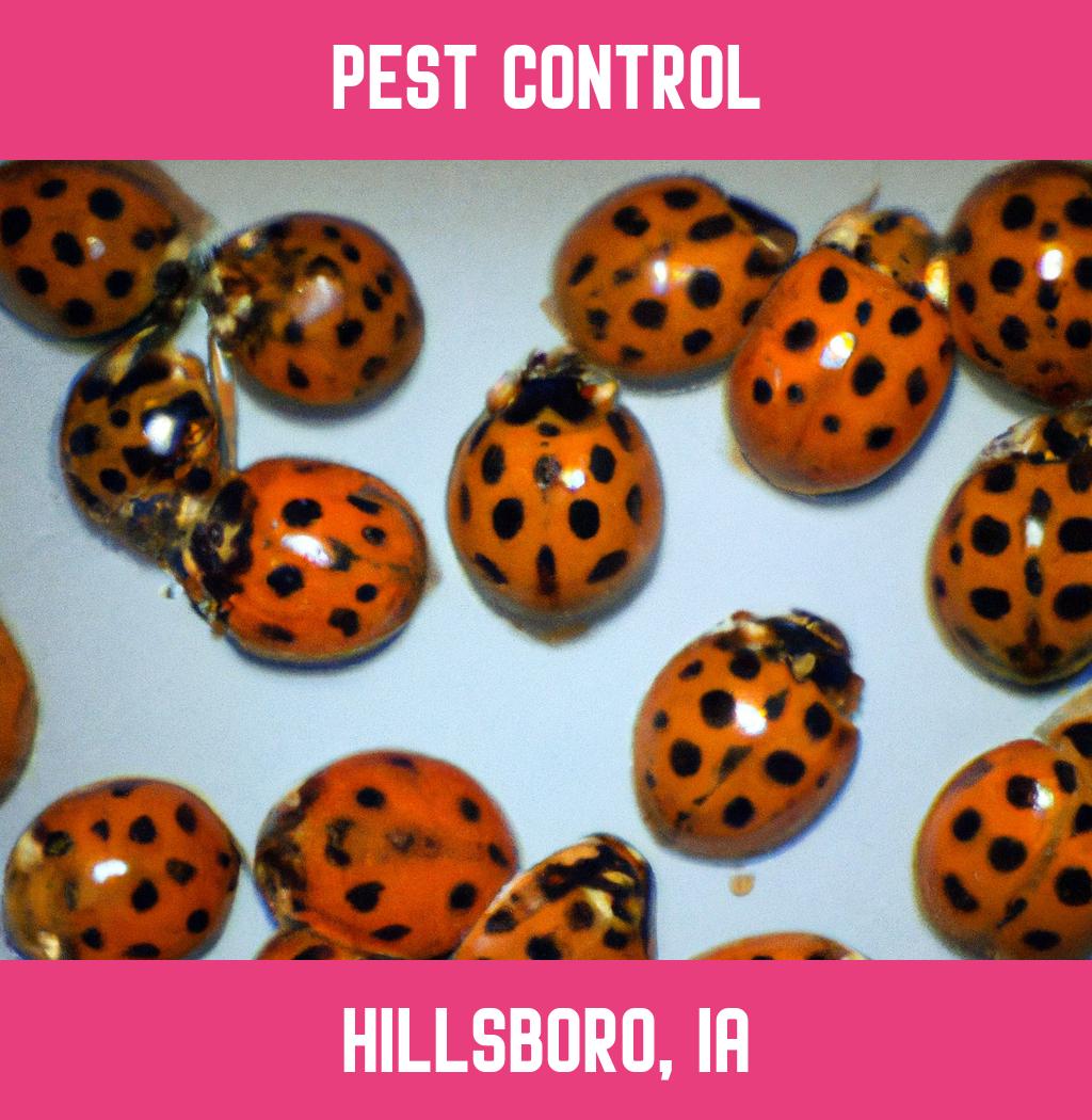 pest control in Hillsboro Iowa