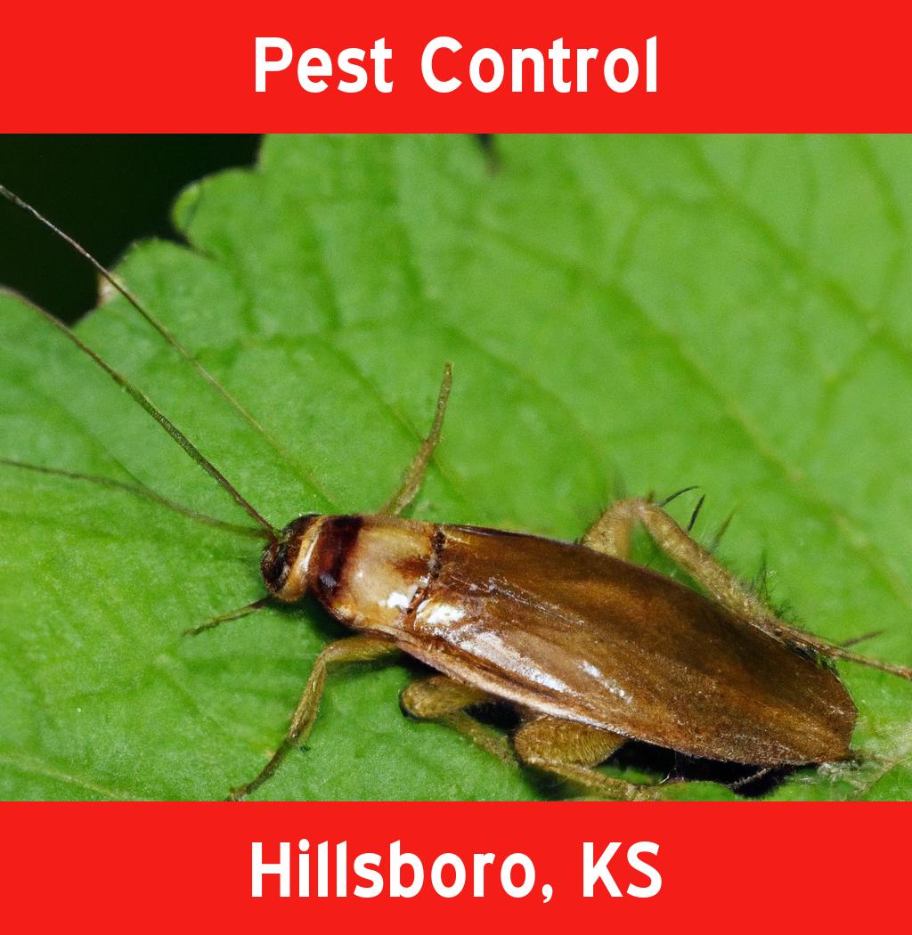 pest control in Hillsboro Kansas