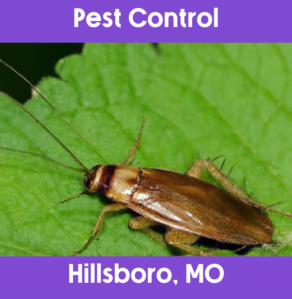 pest control in Hillsboro Missouri
