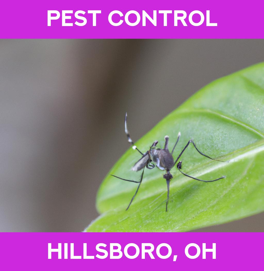 pest control in Hillsboro Ohio