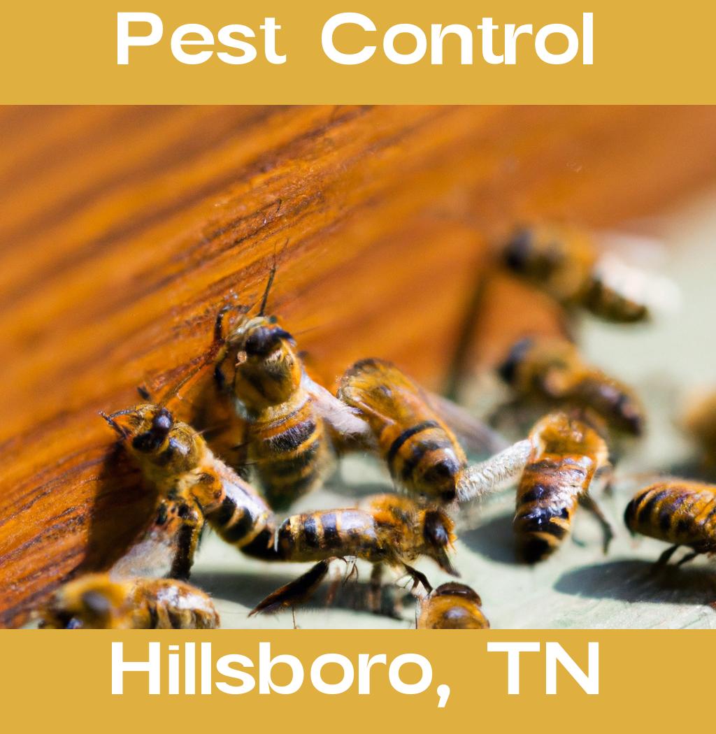 pest control in Hillsboro Tennessee