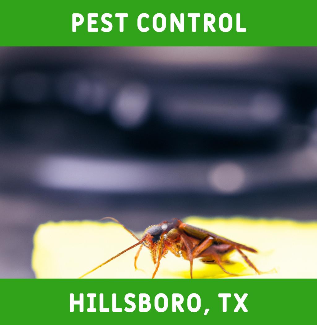 pest control in Hillsboro Texas