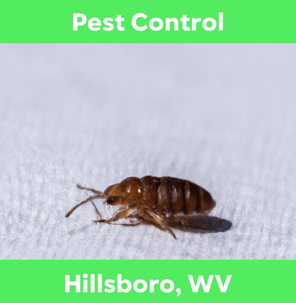 pest control in Hillsboro West Virginia