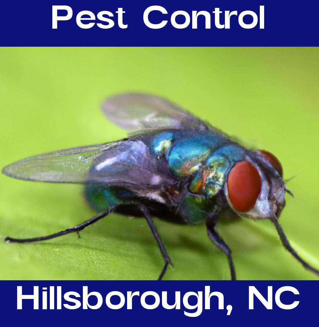pest control in Hillsborough North Carolina