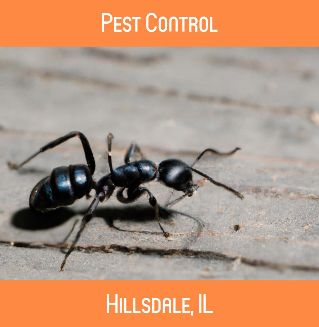 pest control in Hillsdale Illinois