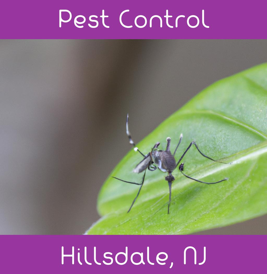 pest control in Hillsdale New Jersey