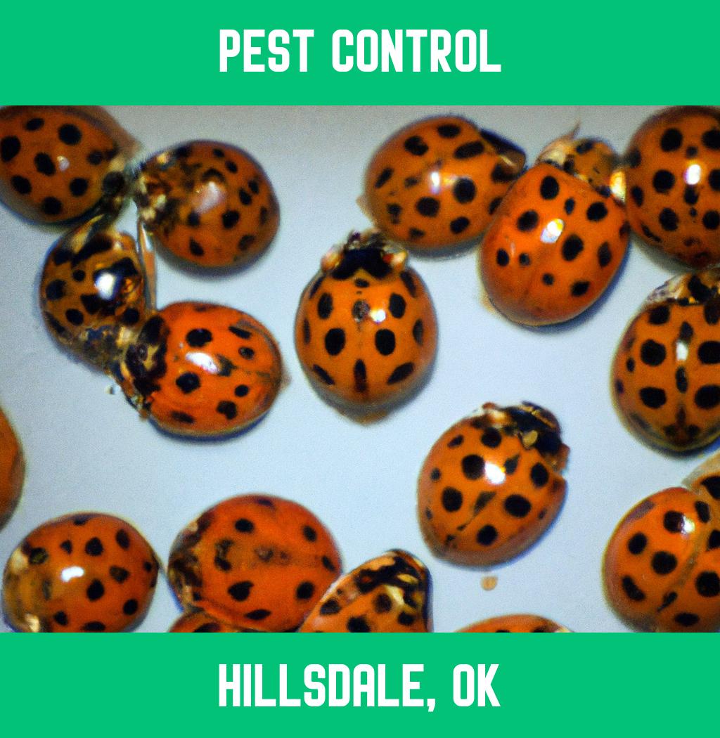 pest control in Hillsdale Oklahoma