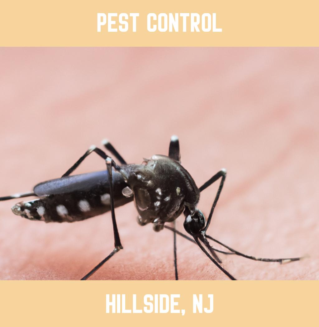 pest control in Hillside New Jersey