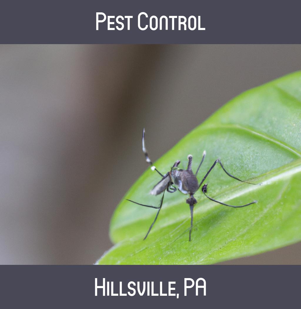 pest control in Hillsville Pennsylvania