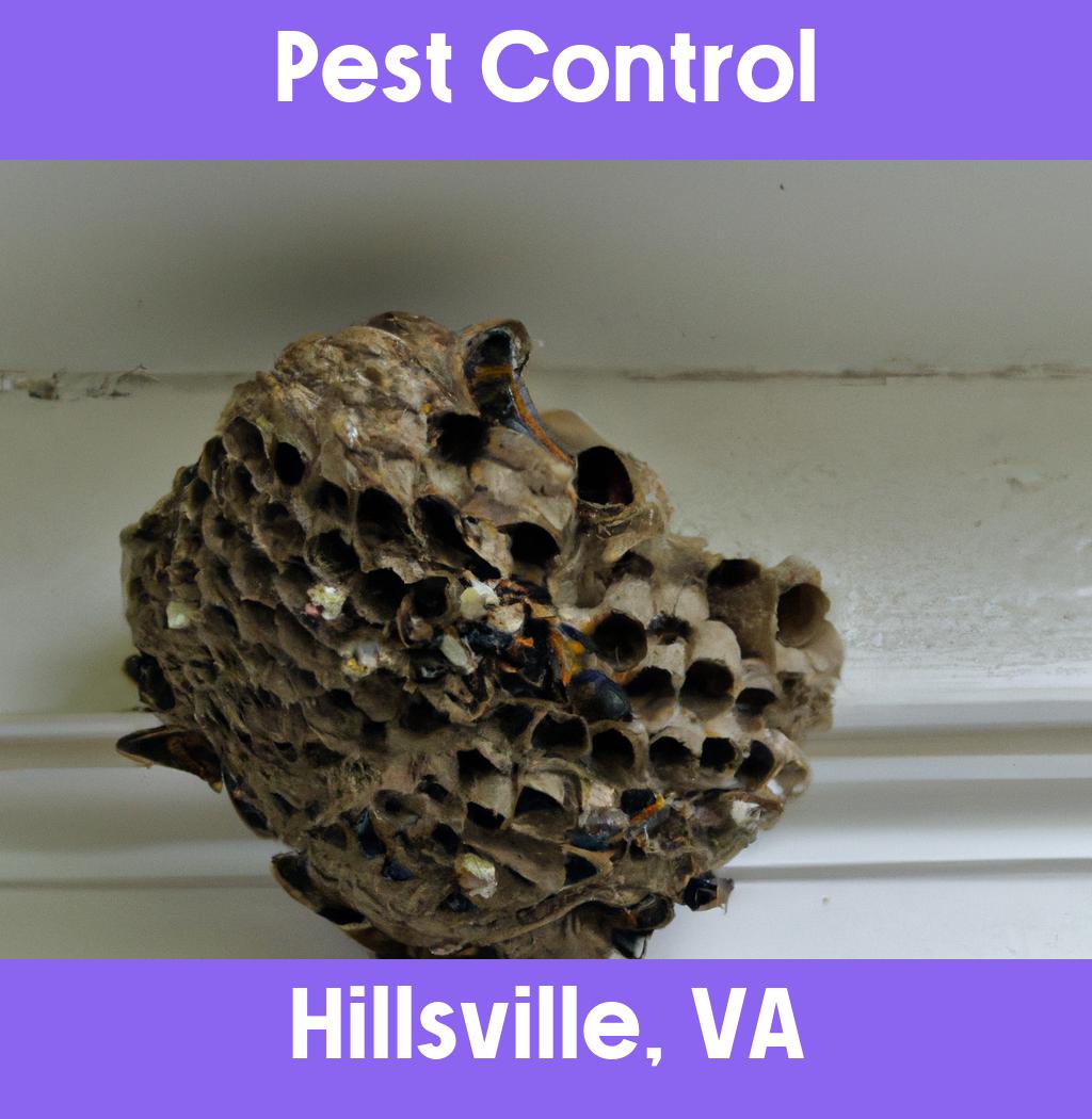 pest control in Hillsville Virginia
