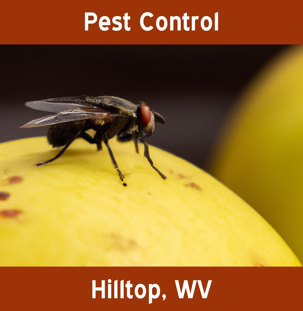 pest control in Hilltop West Virginia