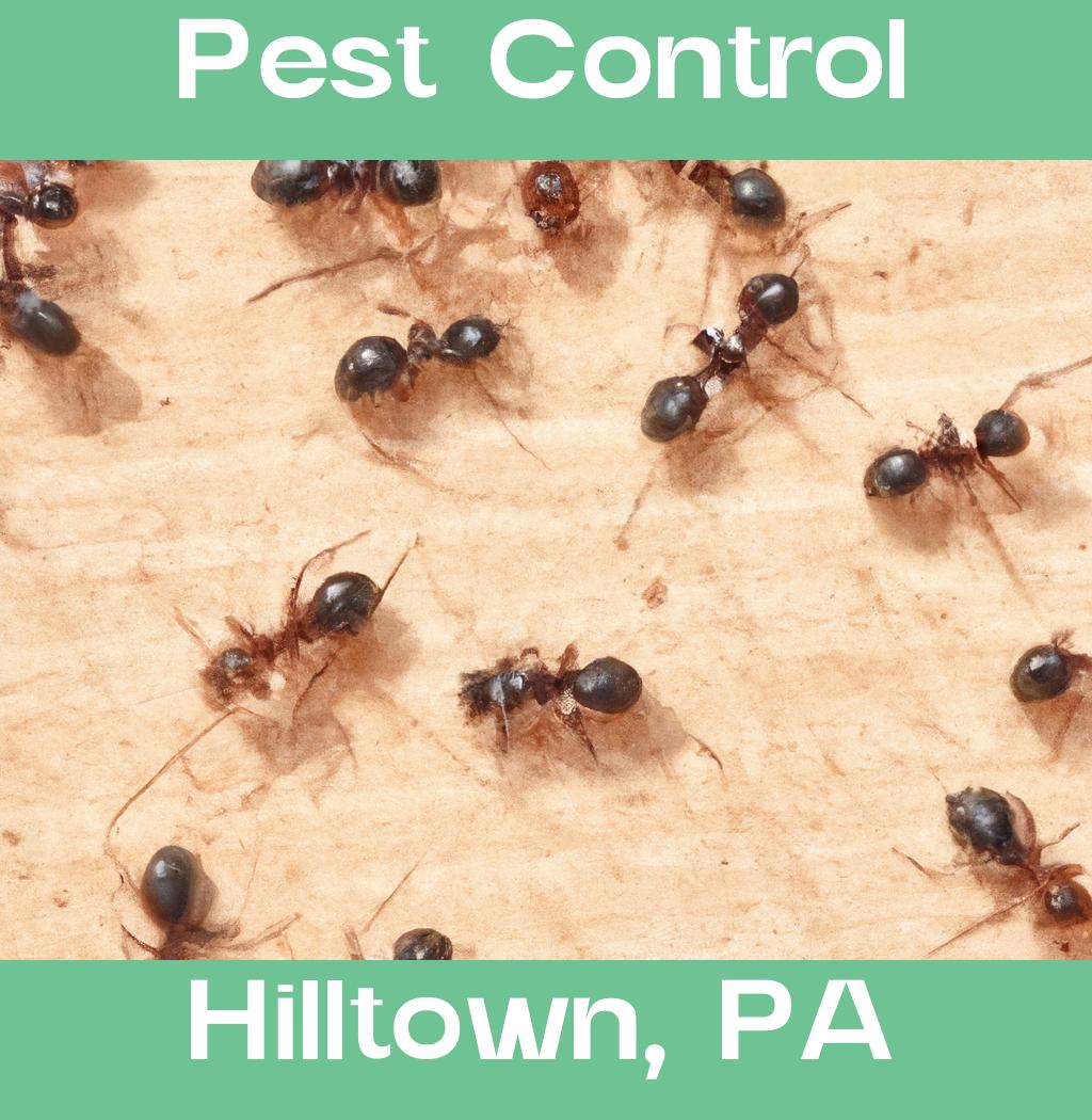 pest control in Hilltown Pennsylvania